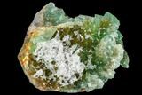 Green Fluorite Crystal Cluster - South Africa #111578-3